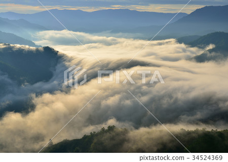 Branch Pass 34524369