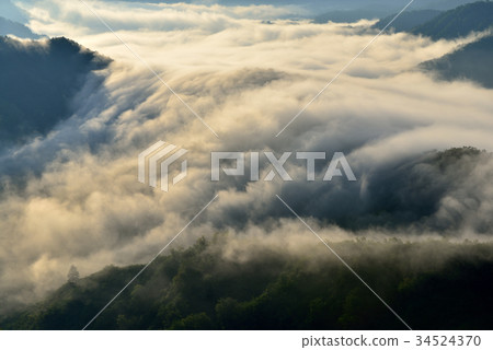 Branch Pass 34524370