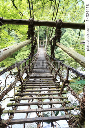 Iya的Kazura橋 34524458