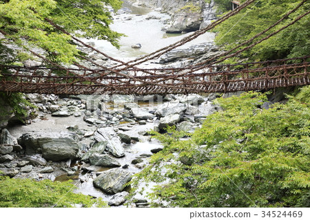 Iya的Kazura橋 34524469