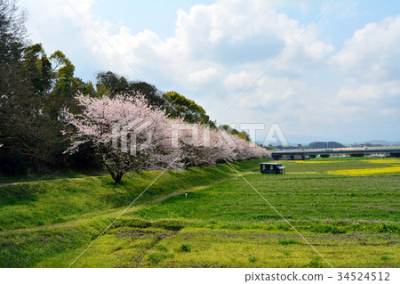 Mizuki ruins Dazaifu 34524512