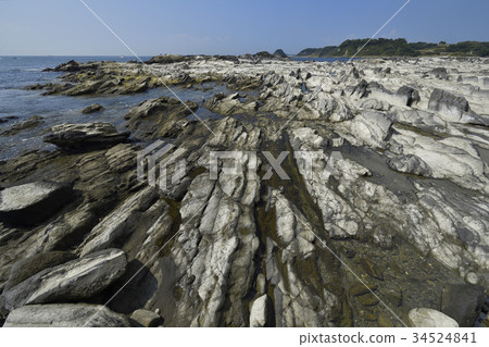 Miura Peninsula Takahata，Miura Rock Reef 34524841
