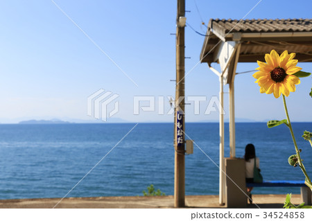 Shimada Shimada 34524858