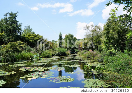 莫奈的花園 莫奈的花園 34526510