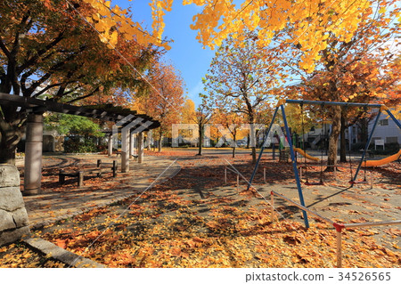 足立區,在飛來公園的秋天的Towa 足立區,在飛來公園的秋天的Towa 34526565