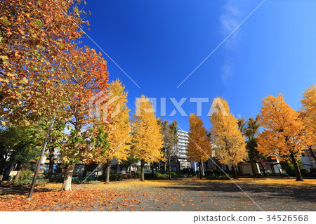 足立區Towa Shibata(Hieda)公園 足立區Towa Shibata(Hieda)公園 34526568