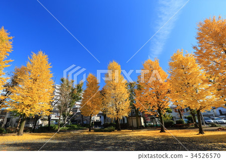 足立區Towa Shibata(Hieda)公園 足立區Towa Shibata(Hieda)公園 34526570