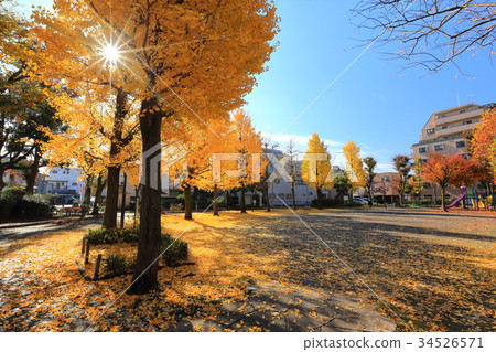 足立區Towa Shibata（Hieda）公園 34526571