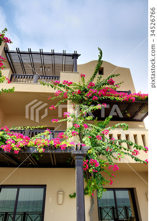 The arabic style villas in luxury hotel  34526766