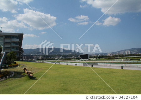 Hanshin racecourse Hanshin racecourse 34527104