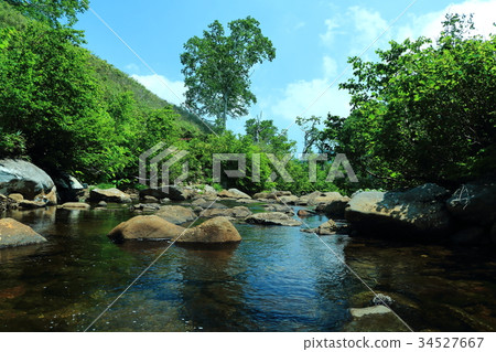阿馬魯馬濕地的山間溪流 阿馬魯馬濕地的山間溪流 34527667