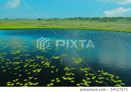 Rainyuunumi Mogahara Rainyuunumi Mogahara 34527671