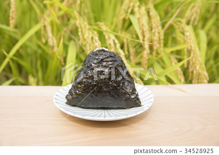 Rice ball and rice field harvest image 34528925