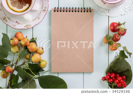 Kraft paper spiral notebook Mock-up. Apples 34529198