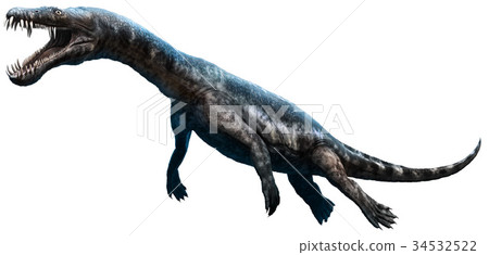 Nothosaurus Nothosaurus 34532522
