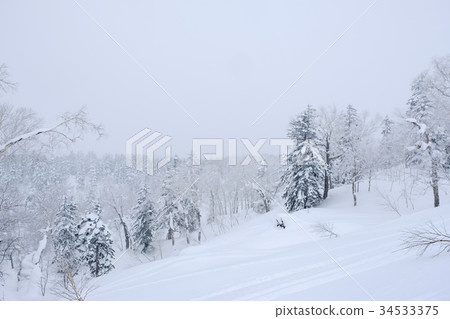 Silver world 34533375