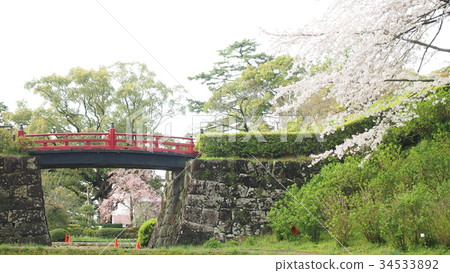 Odawara Castle, Bridge and Cherry blossoms (Odawara castle, bridge, Cherry) Odawara Castle, Bridge and Cherry blossoms (Odawara castle, bridge, Cherry) 34533892