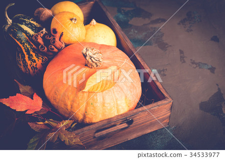 Variety decorative pumpkins 34533977