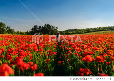 Girl in a hat in the center of a poppy field 34534081