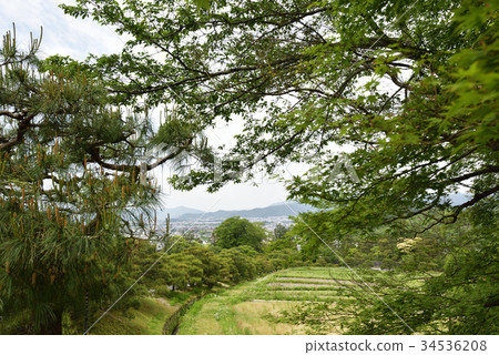 Shogakuin Rikyu 34536208