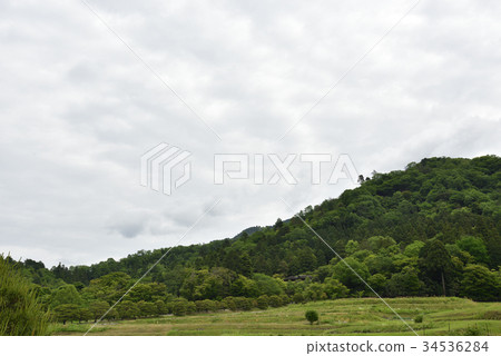 Shogakuin Rikyu 34536284