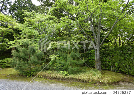 Shogakuin Rikyu 34536287