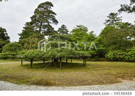 Shogakuin Imperial Palace Reborn Goba 34536488