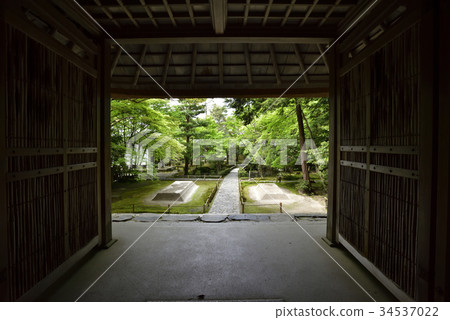 從Homenin Sanmon看到的數百個沙發床 從Homenin Sanmon看到的數百個沙發床 34537022