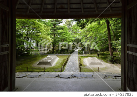 從Homenin Sanmon看到的數百個沙發床 從Homenin Sanmon看到的數百個沙發床 34537023