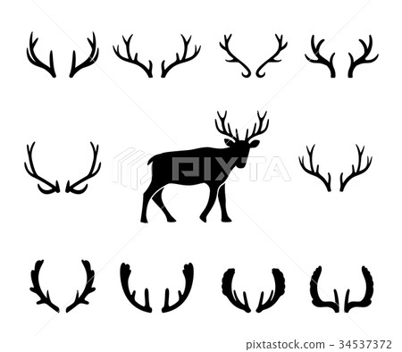 Black silhouettes of different deer horns, vector Black silhouettes of different deer horns, vector 34537372