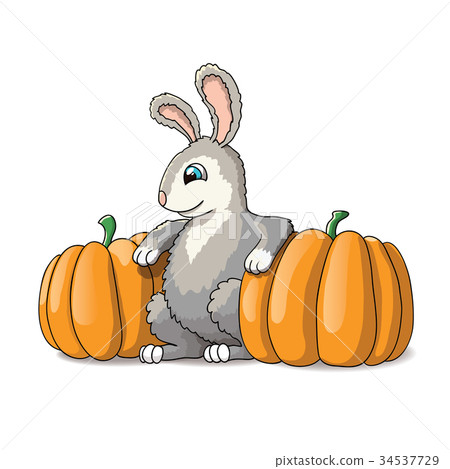 Cute rabbit cartoon illustration with pumpkins Cute rabbit cartoon illustration with pumpkins 34537729