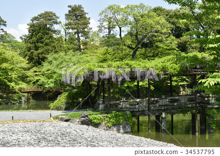 Sen-Dong Gosho Minami-ike Hatsuhashi和Fujitana Sen-Dong Gosho Minami-ike Hatsuhashi和Fujitana 34537795