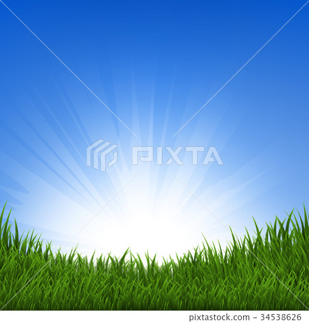 Grass And Sunbeam 34538626