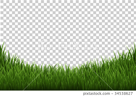 Grass Border 34538627