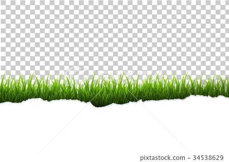 Grass Border 34538629
