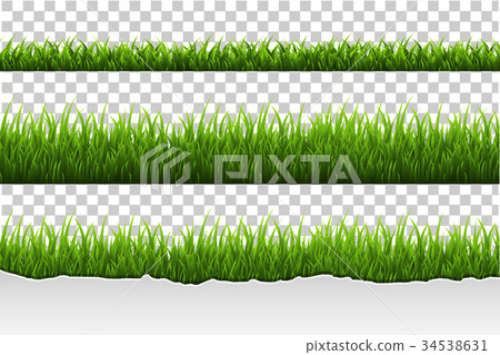Grass Set Grass Set 34538631