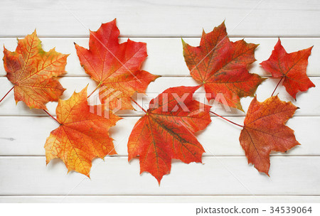 Bright autumn leaves on the wooden background Bright autumn leaves on the wooden background 34539064