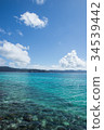 翡翠綠海 34539442
