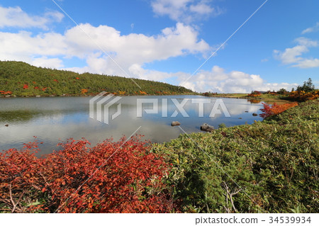Kakinuma of autumn leaves 34539934