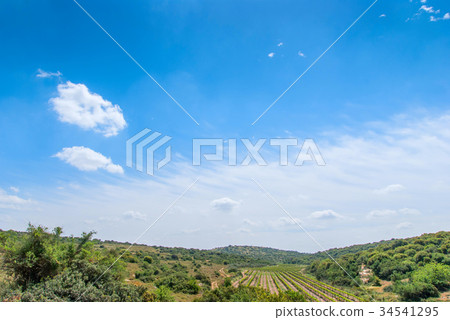 Judean Hills near Beit Shemesh Judean Hills near Beit Shemesh 34541295