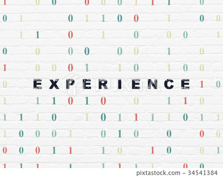 Business concept: Experience on wall background 34541384