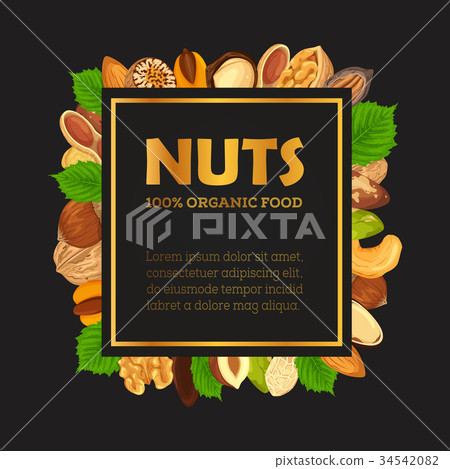 Nut banner with kernel and shell, sign - Stock Illustration [34542082 ...
