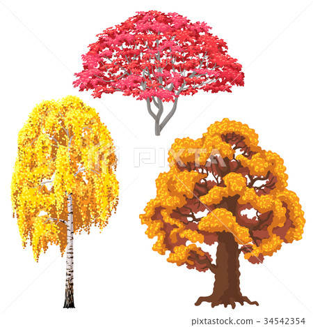 Autumn Trees Set 34542354
