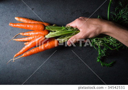 Fresh carrots with a tops in hand on background Fresh carrots with a tops in hand on background 34542531