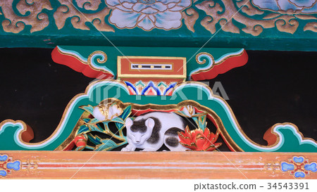 Nikko Toshogu Gojo left sleeping cat 34543391