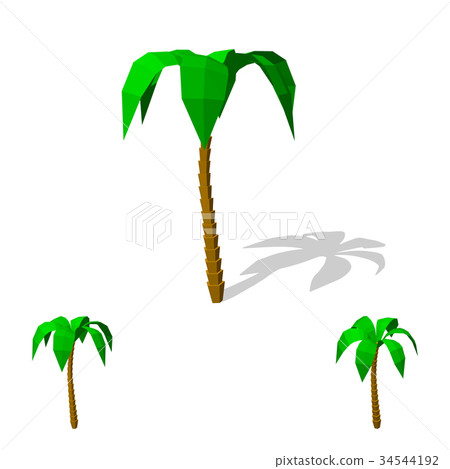 Polygonal palm. Isolated on white background. Polygonal palm. Isolated on white background. 34544192