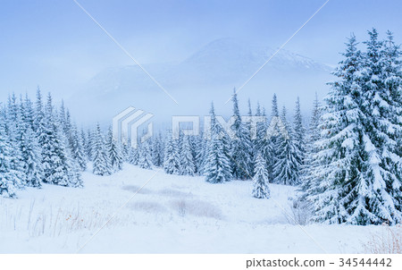wonderful winter landscape  34544442