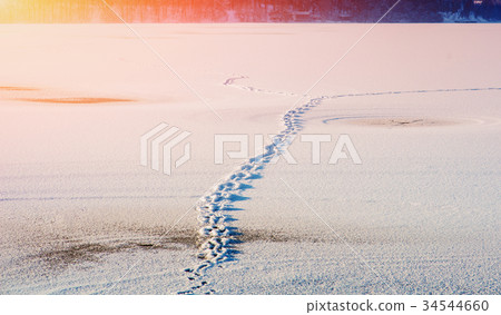 Footsteps on the snow Footsteps on the snow 34544660