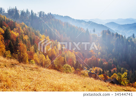 Scenic Autumn Landscape 34544741