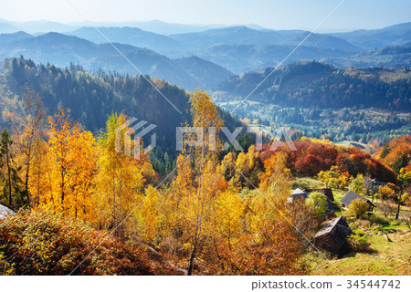 Scenic Autumn Landscape Scenic Autumn Landscape 34544742